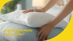 อายุการใช้งานหมอนสำคัญแค่ไหน เช็ก 5 สัญญาณได้เตือนด้วยตนเอง