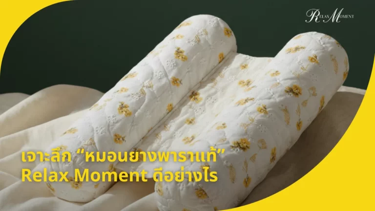 เจาะลึก หมอนยางพาราแท้ Relax Moment ดีต่อคุณและโลกอย่างไร
