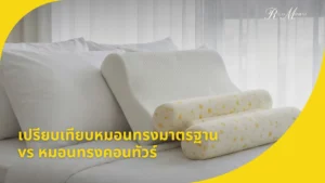 เปรียบเทียบหมอนทรงมาตรฐาน vs หมอนทรงคอนทัวร์