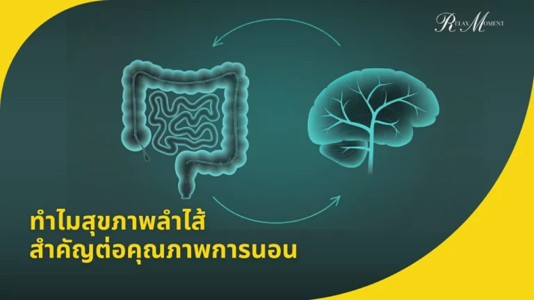 ทำไมสุขภาพลำไส้ Gut-Brain Connection สำคัญต่อคุณภาพการนอน